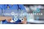 行业网站开发公司，引领行业发展的技术先锋