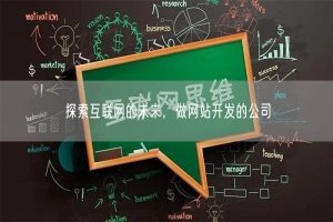 探索互联网的未来，做网站开发的公司