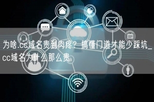 为啥.cc域名贵到肉疼？搞懂门道才能少踩坑_cc域名为什么那么贵