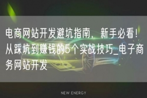 电商网站开发避坑指南，新手必看！从踩坑到赚钱的5个实战技巧_电子商务网站开发
