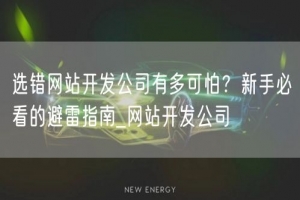 选错网站开发公司有多可怕？新手必看的避雷指南_网站开发公司