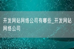 开发网站网络公司有哪些_开发网站网络公司