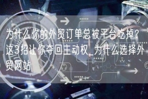 为什么你的外贸订单总被平台吃掉？这3招让你夺回主动权_为什么选择外贸网站