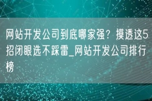 网站开发公司到底哪家强？摸透这5招闭眼选不踩雷_网站开发公司排行榜