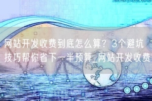 网站开发收费到底怎么算？3个避坑技巧帮你省下一半预算_网站开发收费