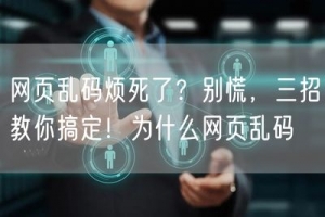 网页乱码烦死了？别慌，三招教你搞定！为什么网页乱码