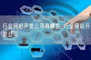 行业网站开发公司有哪些_行业网站开发公司