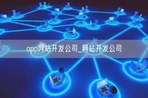 app网站开发公司_网站开发公司
