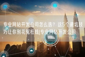专业网站开发公司怎么选？这5个避坑技巧让你别花冤枉钱|专业网站开发公司