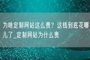 为啥定制网站这么贵？这钱到底花哪儿了_定制网站为什么贵