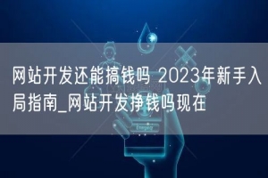 网站开发还能搞钱吗 2023年新手入局指南_网站开发挣钱吗现在