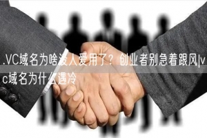 .VC域名为啥没人爱用了？创业者别急着跟风|vc域名为什么遇冷