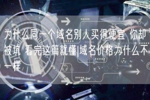 为什么同一个域名别人买得便宜 你却被坑 看完这篇就懂|域名价格为什么不一样