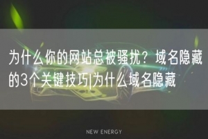 为什么你的网站总被骚扰？域名隐藏的3个关键技巧|为什么域名隐藏