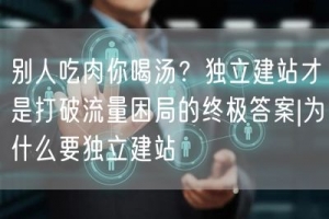 别人吃肉你喝汤？独立建站才是打破流量困局的终极答案|为什么要独立建站