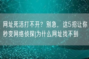 网址死活打不开？别急，这5招让你秒变网络侦探|为什么网址找不到