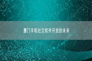 厦门手机社交软件开发的未来