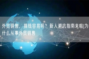 外贸销售，搞钱容易吗？新人避坑指南来啦|为什么从事外贸销售